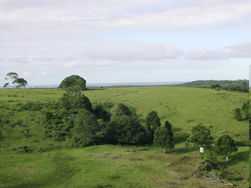 219 The Saddle Road, Mullumbimby NSW 2482