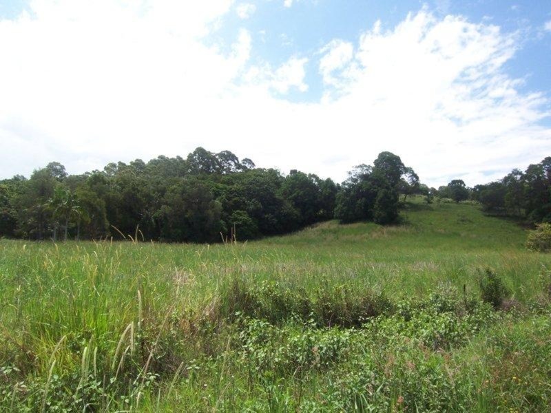 219 The Saddle Road, Mullumbimby NSW 2482