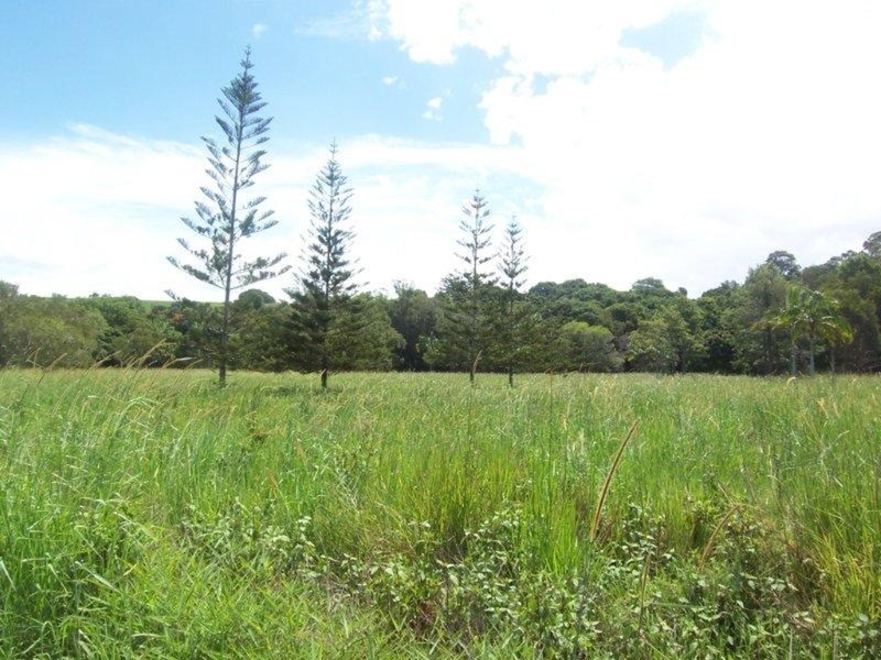 219 The Saddle Road, Mullumbimby NSW 2482