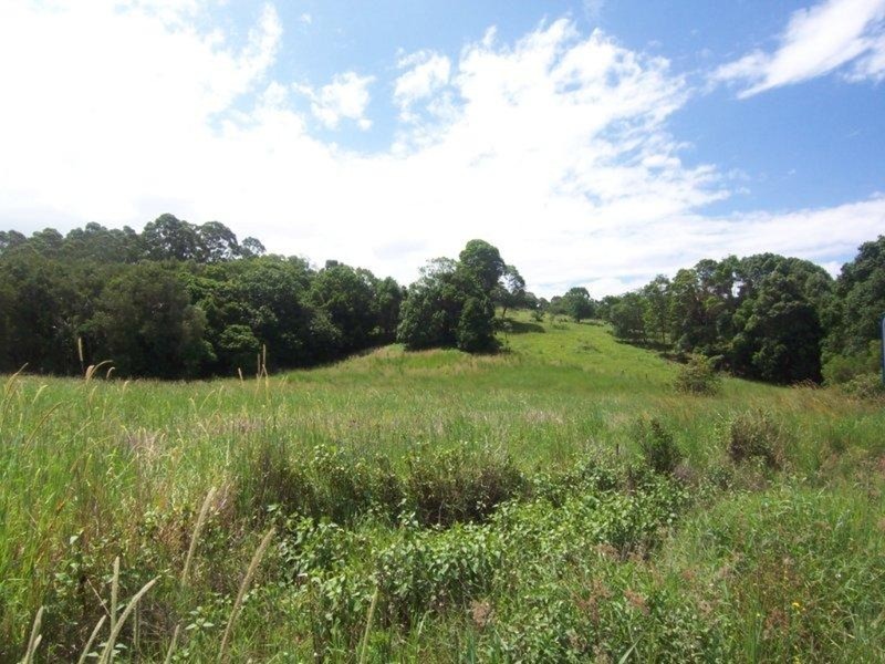 219 The Saddle Road, Mullumbimby NSW 2482