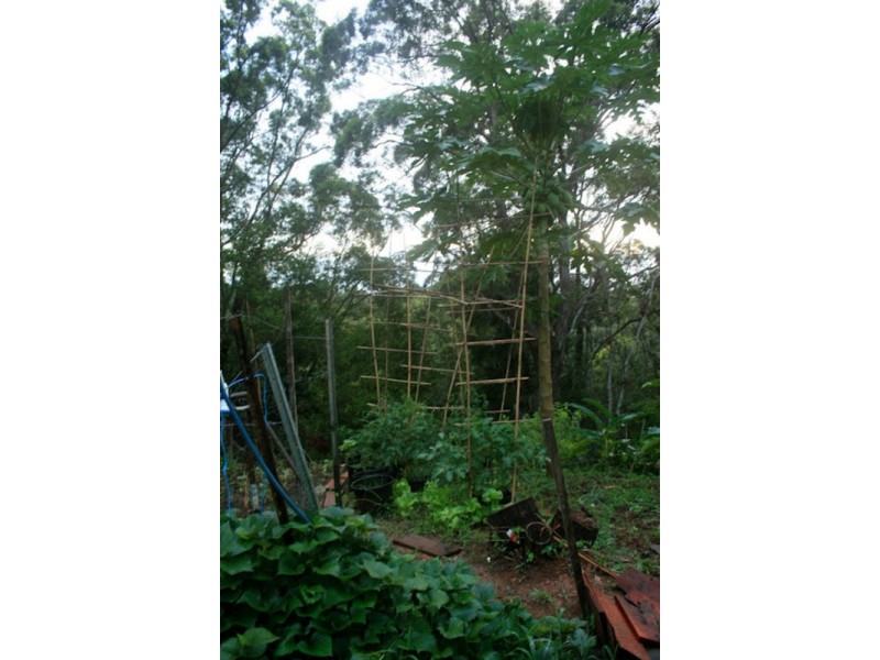 34 Alidenes Road, Mullumbimby NSW 2482