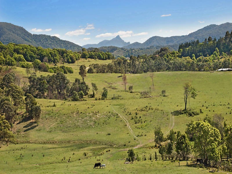 170-171 Tuckeroo Avenue, Mullumbimby NSW 2482