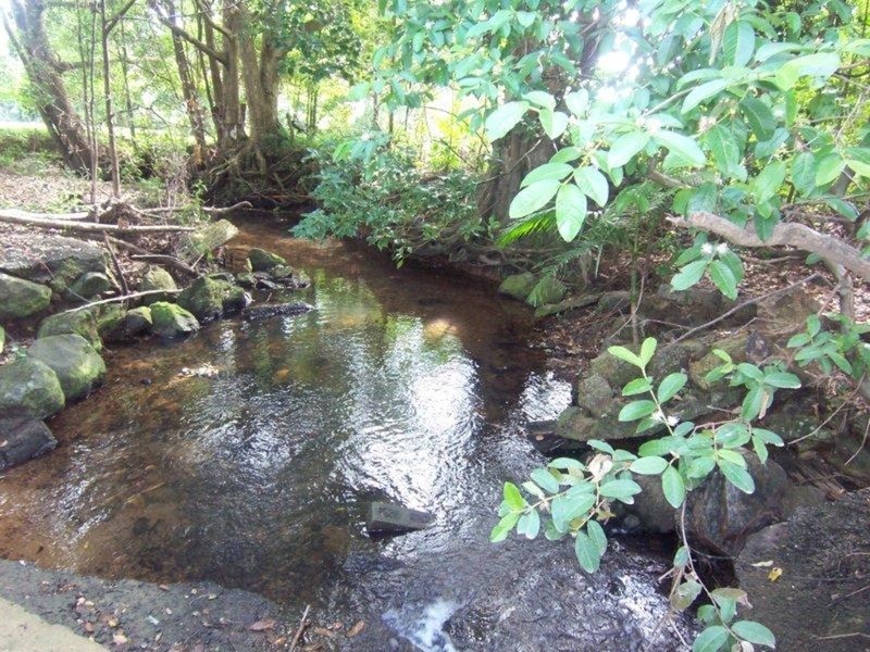 26 Chinamans Hill Road, Middle Pocket NSW 2483