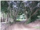 68 Parkway  Drive, Ewingsdale NSW 2481