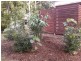 68 Parkway  Drive, Ewingsdale NSW 2481