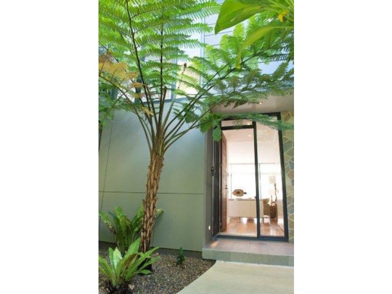 7/7 Cavanbah Street, Byron Bay NSW 2481