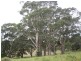Lot 9 Bundaleer Road, Broken Head NSW 2481