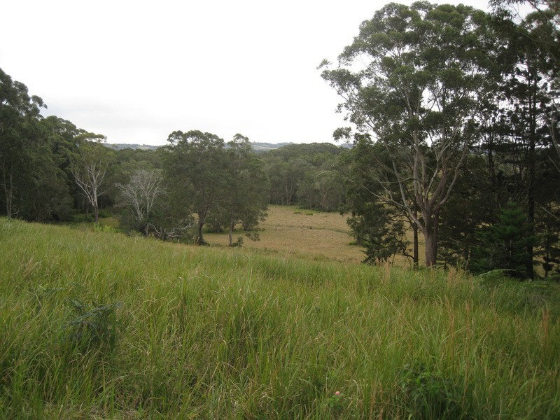 Lot 9 Bundaleer Road, Broken Head NSW 2481