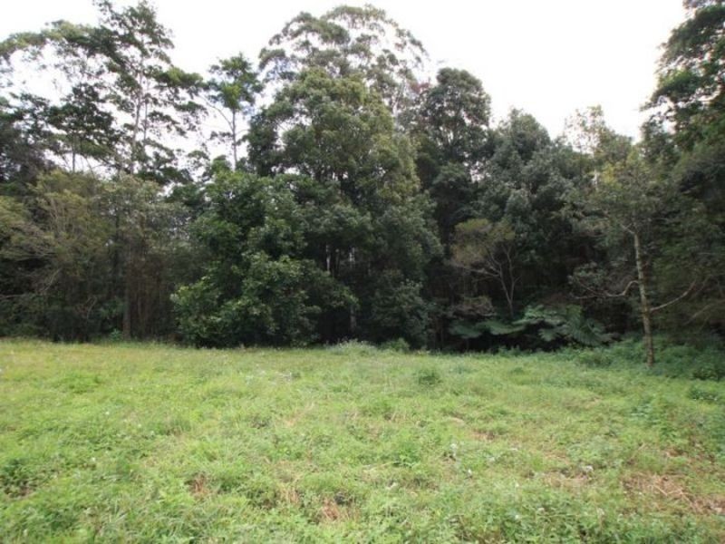 Lot 7 Benjamins Lane, Billinudgel NSW 2483