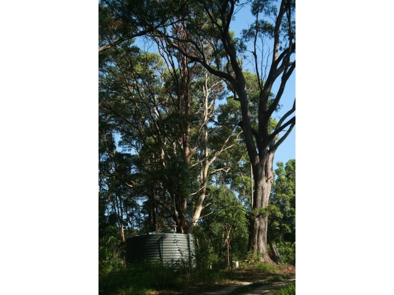 34 Alidenes Road, Mullumbimby NSW 2482