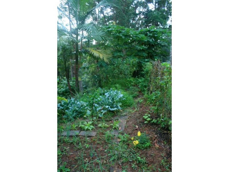 34 Alidenes Road, Mullumbimby NSW 2482