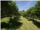 114 Howard Street, Burringbar NSW 2483