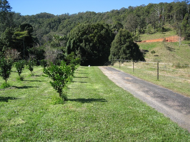 114 Howard Street, Burringbar NSW 2483