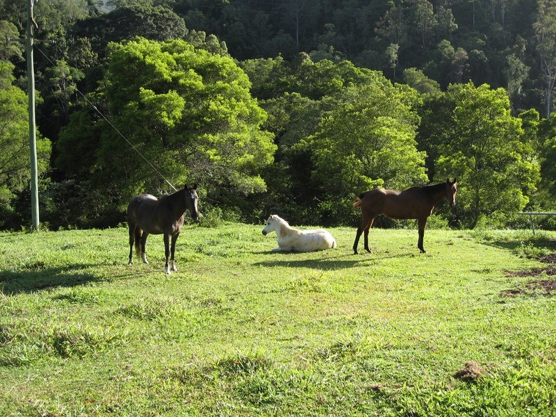 2 Jonsons Road, Huonbrook NSW 2482