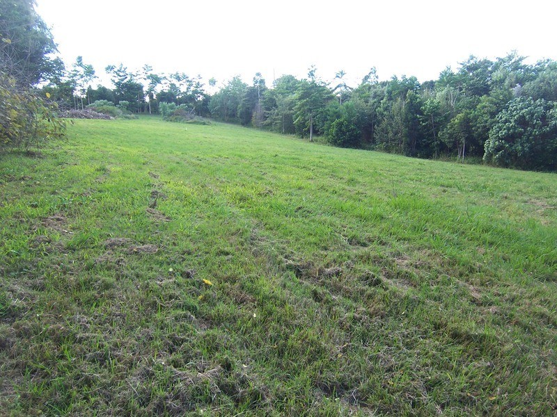 89 Parkway Drive, Ewingsdale NSW 2481