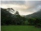 400 Upper Wilsons Creek, Wilsons Creek NSW 2482