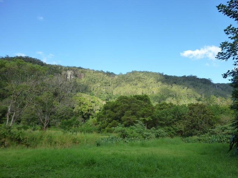 400 Upper Wilsons Creek, Wilsons Creek NSW 2482