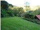 400 Upper Wilsons Creek, Wilsons Creek NSW 2482