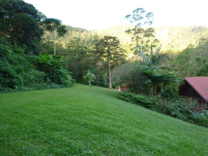 400 Upper Wilsons Creek, Wilsons Creek NSW 2482