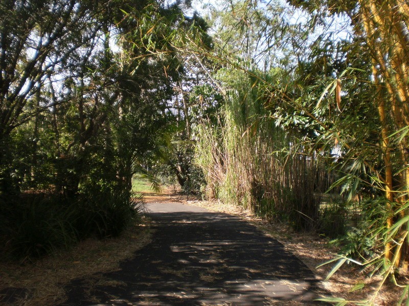 Lot 1/23 Coachwood  Court, Federal NSW 2480