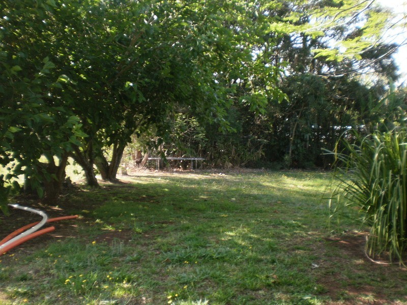 Lot 1/23 Coachwood  Court, Federal NSW 2480