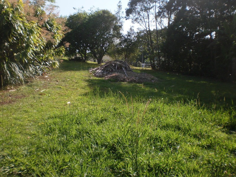 Lot 1/23 Coachwood  Court, Federal NSW 2480