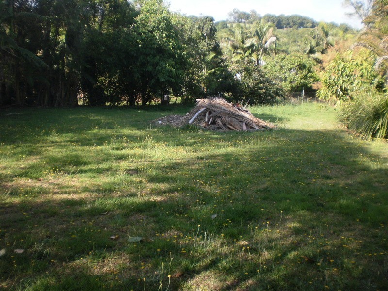 Lot 1/23 Coachwood  Court, Federal NSW 2480