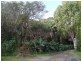 28 Burns Street, Byron Bay NSW 2481