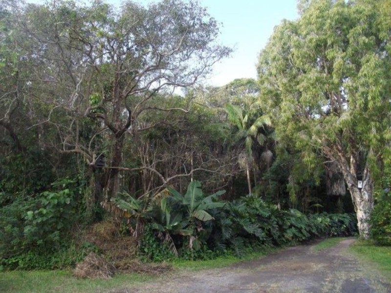 28 Burns Street, Byron Bay NSW 2481