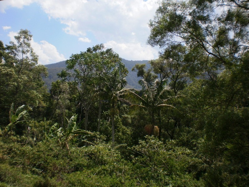 137 Mill Road, Huonbrook NSW 2482