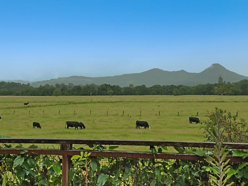 34 Wilson Creek Road, Mullumbimby NSW 2482