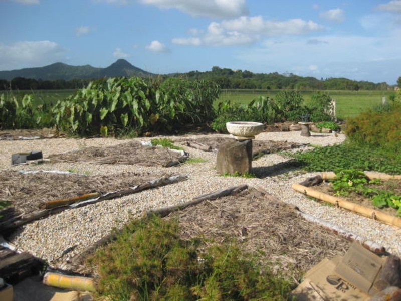 34 Wilson Creek Road, Mullumbimby NSW 2482