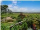 34 Wilson Creek Road, Mullumbimby NSW 2482