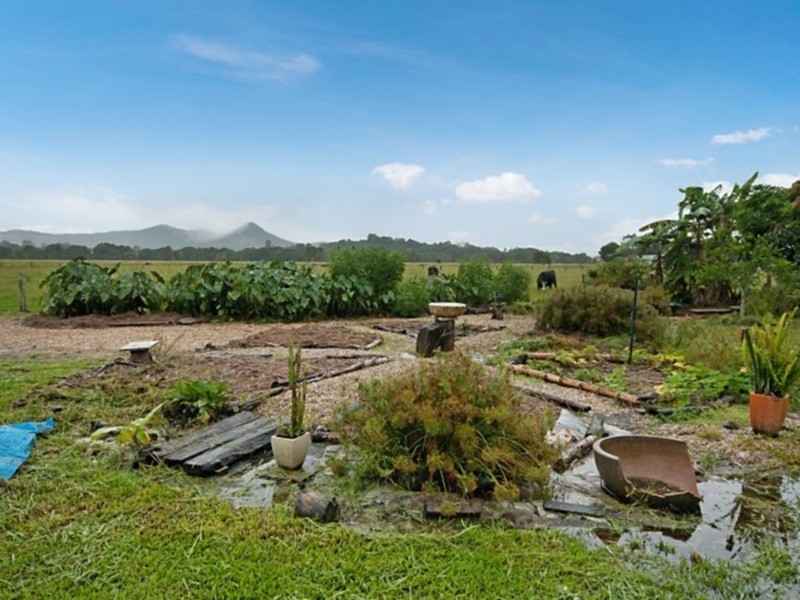 34 Wilson Creek Road, Mullumbimby NSW 2482