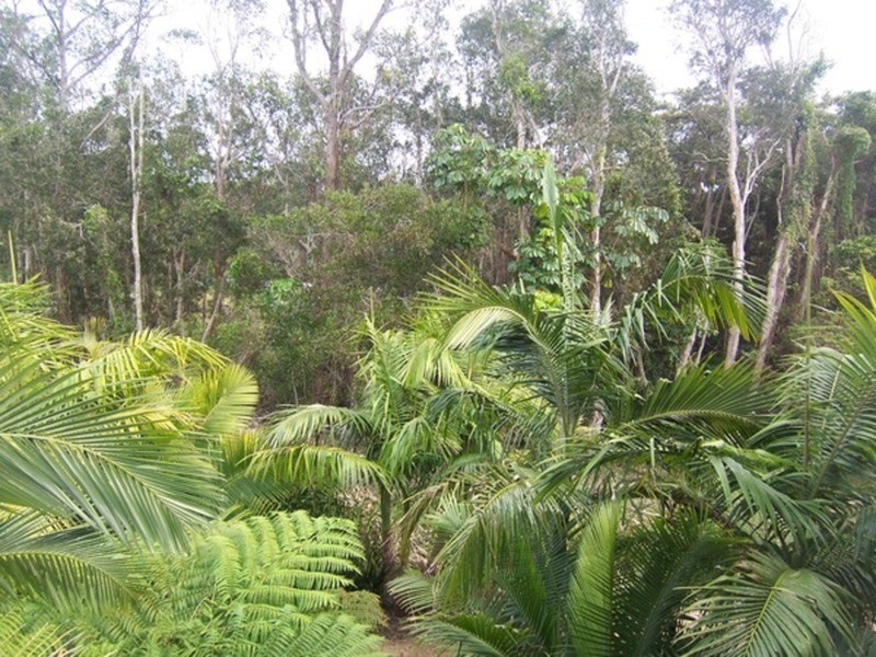 24/5-7 Old Bangalow Road, Byron Bay NSW 2481