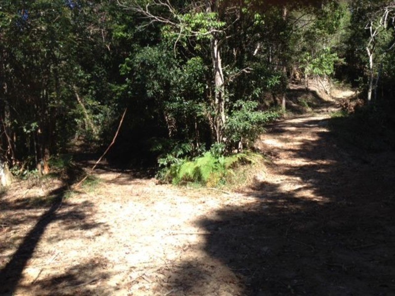 790 Upper Burringbar Road, Burringbar NSW 2483