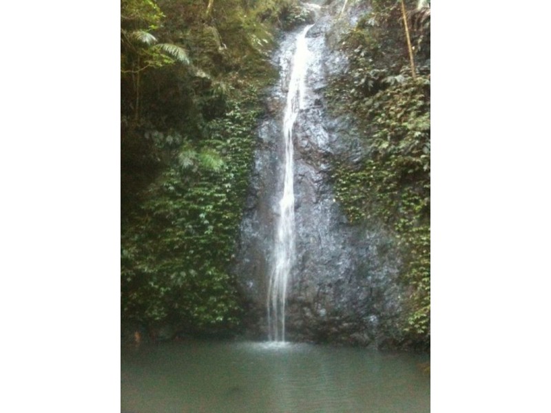 790 Upper Burringbar Road, Burringbar NSW 2483