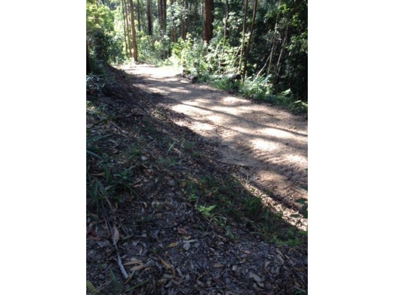 790 Upper Burringbar Road, Burringbar NSW 2483