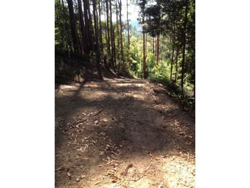 790 Upper Burringbar Road, Burringbar NSW 2483