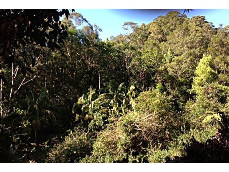 790 Upper Burringbar Road, Burringbar NSW 2483