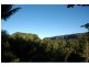 175 Huonbrook Road, Huonbrook NSW 2482