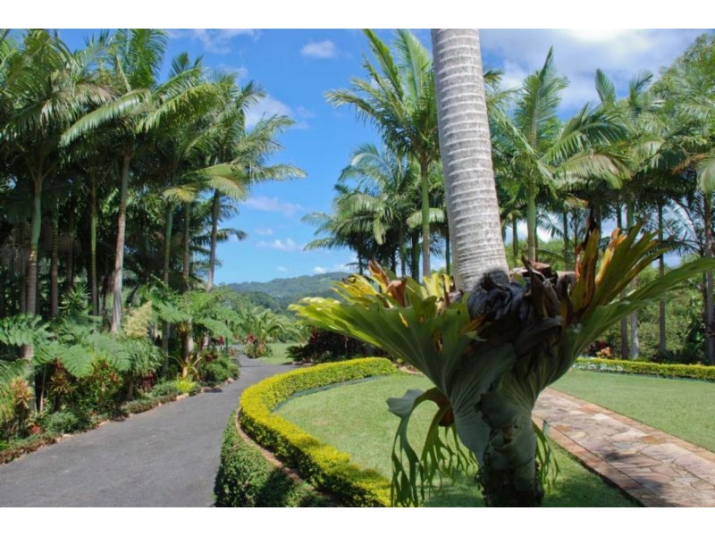 137 Howards Road, Burringbar NSW 2483