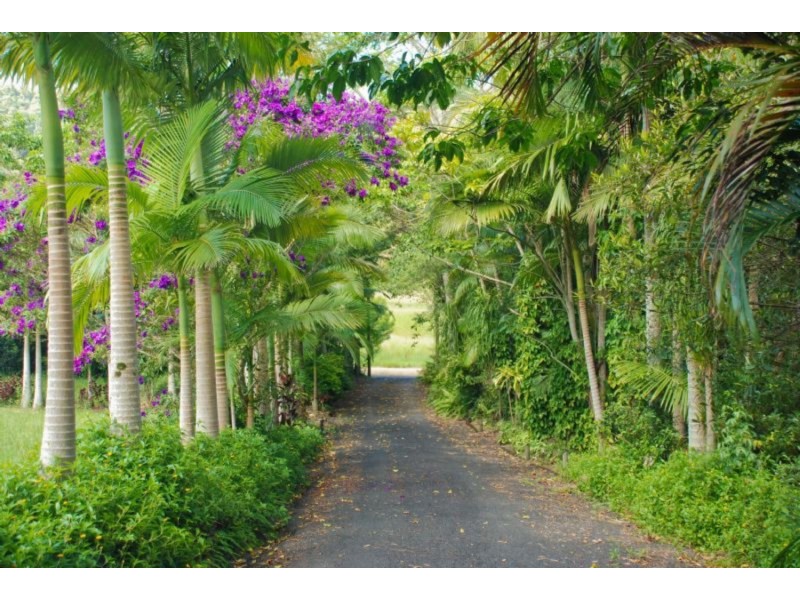 137 Howards Road, Burringbar NSW 2483