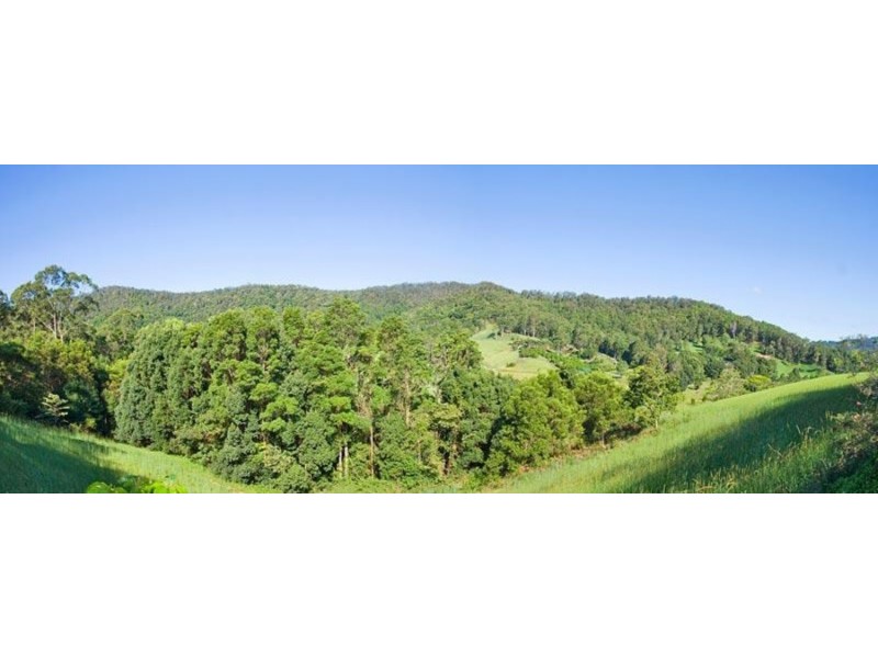 137 Howards Road, Burringbar NSW 2483