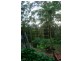 34 Alidenes Road, Mullumbimby NSW 2482