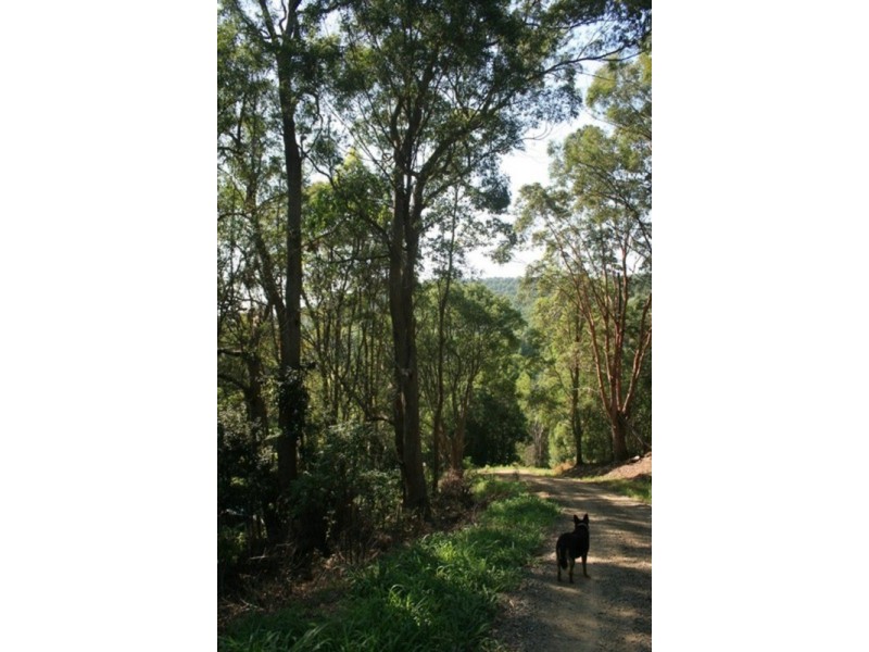 34 Alidenes Road, Mullumbimby NSW 2482
