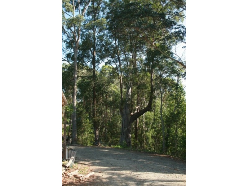 34 Alidenes Road, Mullumbimby NSW 2482