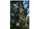 34 Alidenes Road, Mullumbimby NSW 2482