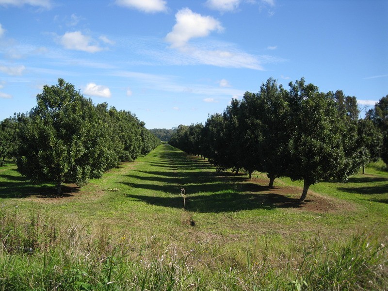 439 Teven Road, Alstonville NSW 2477