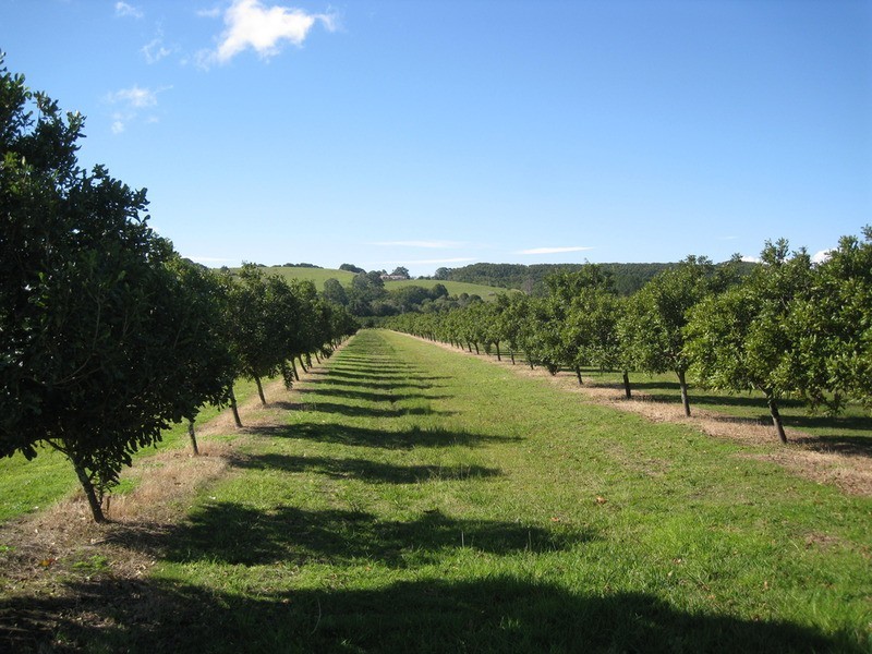 439 Teven Road, Alstonville NSW 2477